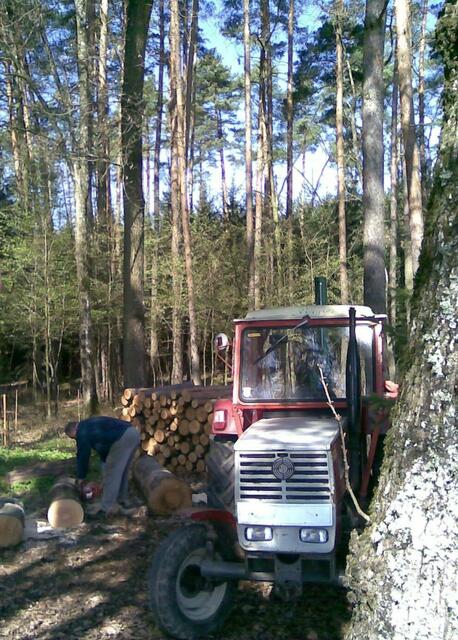 Die Arbeit im Wald | Foto: Philipp Steinriegler