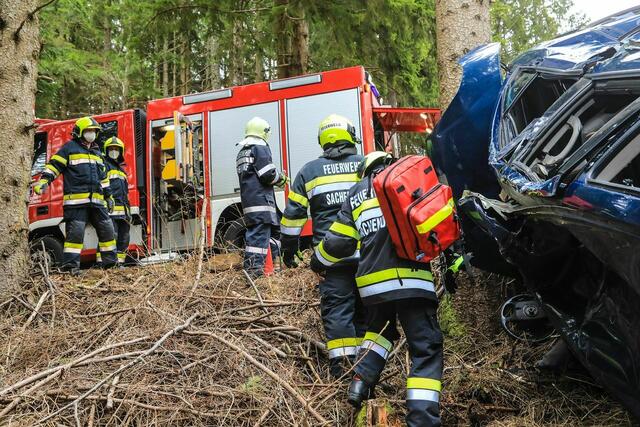 Am Wochenende übte die Feuerwehr Sachendorf einen Einsatz am Tremmelberg mit der Hundestaffel. | Foto: Thomas Zeiler