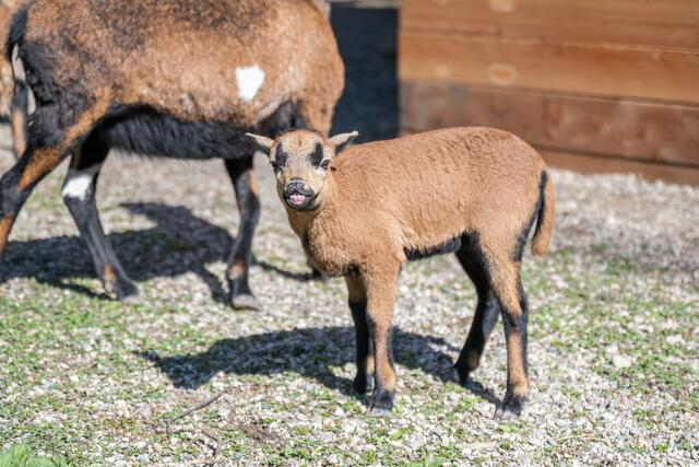 Die kleine Dori zeigt ihr schönstes Lächeln | Foto: Alle: Arman Kalteis
