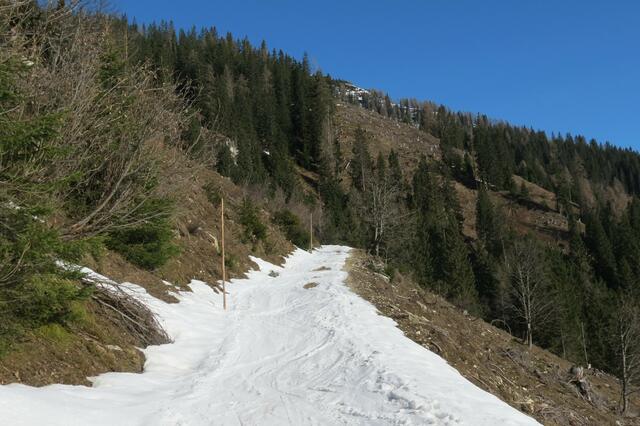 Mit etwas Glück ist die Almstraße zur Südwiener Hütte auch noch befahrbar.  | Foto: Thomas Neuhold