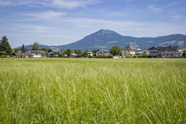 Das Begutachtungsverfahren des neuen Grundverkehrsgesetzes startet in den nächsten Tagen. Ziel ist es, das Gesetz noch vor dem Sommer dem Landtag vorzulegen. | Foto: Neumayr/Christian Leopold