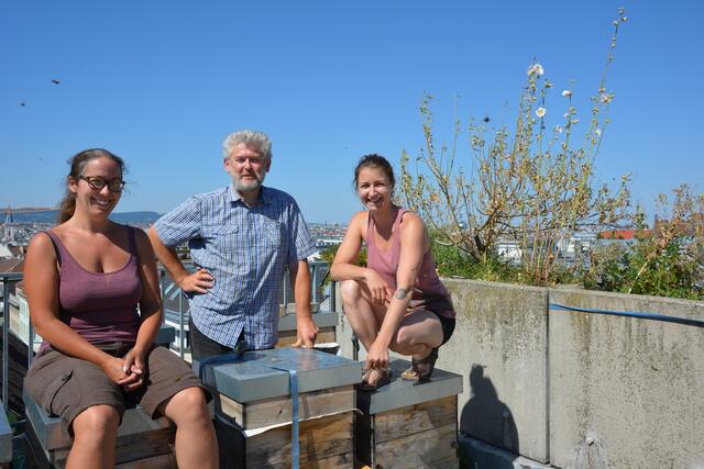 Das Team der Wiener Bezirksimkerei ist so emsig wie seine Bienen. Hier im Bild (v. links nach rechts): Adriana Traunmüller, Matthias Kopetzky und Maria Binder. | Foto: Wiener Bezirksimkerei