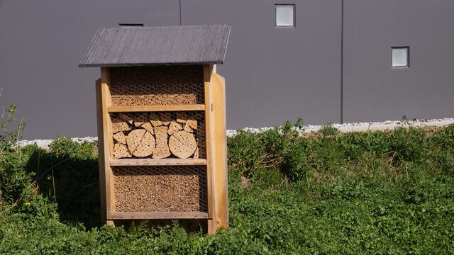 Das Projekt Insektennest ist ein voller Erfolg für die Gemeinschaft. | Foto: Fabian Zagler