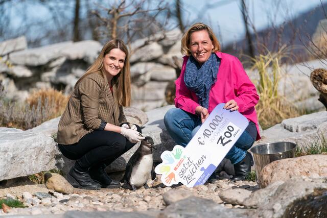 Spar unterstützt neues Zuhause für die Pinguine im Zoo Salzburg. Zoo-Geschäftsführerin Sabine Grebner (rechts) und Spar-Geschäftsführerin Patrica Sepetavc (links). | Foto: Spar