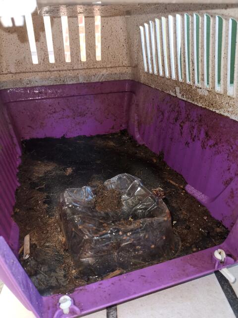 Die Box, in der sich die Kaninchen befanden, war stark verschmutzt. | Foto: Icara Tierrettung