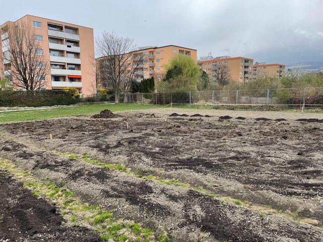 Weltacker: Statt an der Kettenbrücke jetzt in der Egderdachstraße. | Foto: BezirksBlätter Innsbruck