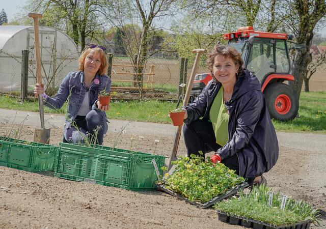Projektkoordinatorin Christine Podlipnig und Naturschutzlandesrätin Ursula Lackner beim Setzen der ersten Pflanzen. | Foto: Land Steiermark/Purgstaller