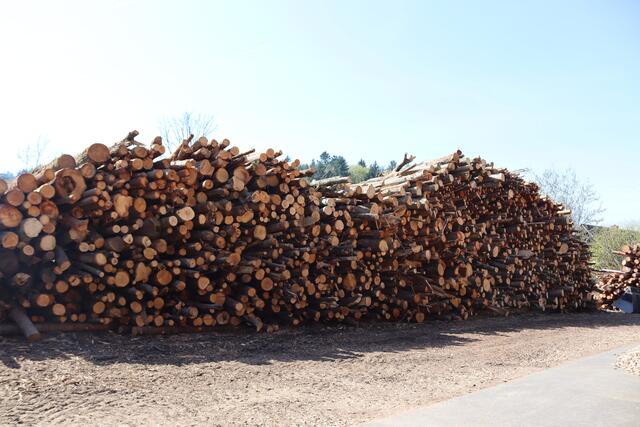 Foto: RegionalMedien