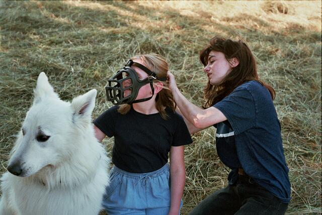 Der belgische Tribute-Gast Fabrice du Welz präsentiert die Österreichpremiere seines aktuellen Thrillers INEXORABLE, den Benoît Poelvoorde als neurotischer Autor mit Schreibblockade veredelt. | Foto: Crossing Europe
