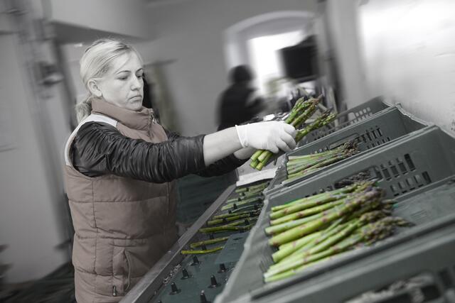 Im Selbstbedienungsladen der Hofmanns gibt es neben Spargel auch Salat, Erdbeeren, Rhabarber und Dinkelprodukte, die sich auch toll kombinieren lassen. | Foto: Biohofmann