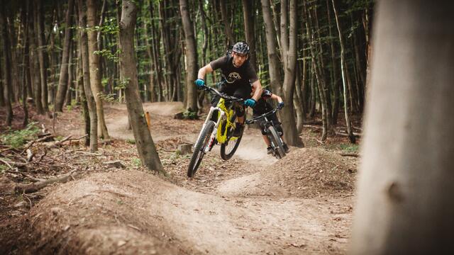 Der Mountainbiker ist auf einem Shared Trail in der Region Wienerwald unterwegs.  | Foto: ÖBf-Archiv/M. Wessig