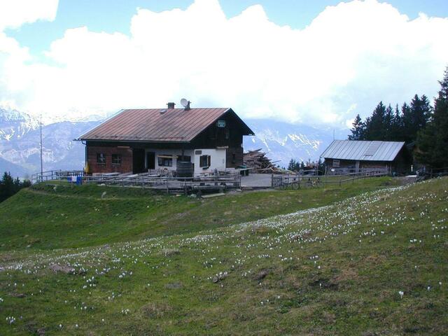 Für die Sistranser Alm werden neue Pächter für den Sommerbetrieb gesucht.