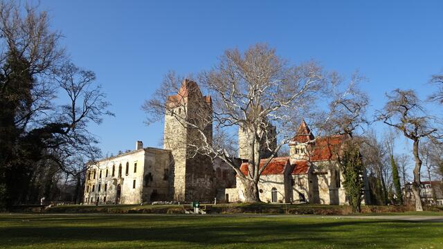 Der Schlosspark von Pottendorf wurde 1979 zum Naturdenkmal erklärt. Er wird von der Fischa durchflossen und ... | Foto: Silvia Plischek
