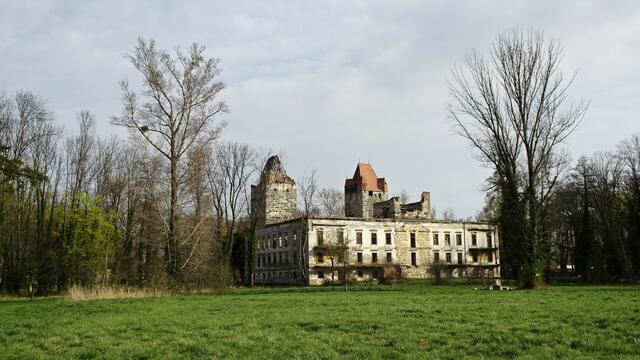 ... ist jedoch nach 1945 durch Plünderungen und Devastierungen zu einer Ruine geworden. ... Die Renovierung der beiden Schlosstürme ist geplant. ...
 | Foto: Silvia Plischek
