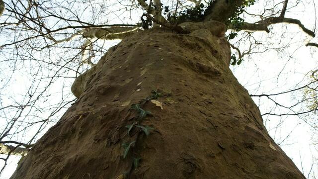 Foto: Silvia Plischek