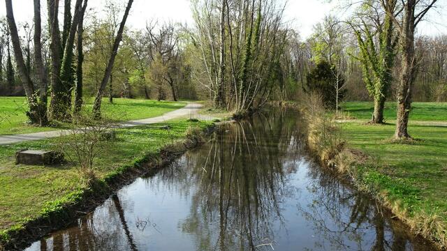 Über eine Brücke überqueren wir eine der Flussverzweigungen der Fischa. ... | Foto: Silvia Plischek