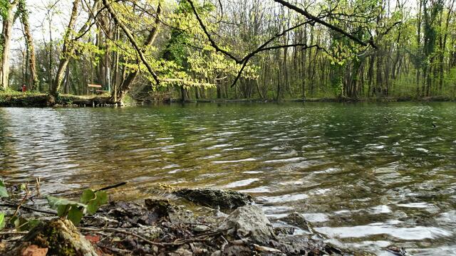 Foto: Silvia Plischek