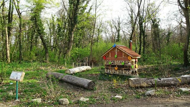 Beim Insektenhotel. (Leider noch immer unbewohnt.) | Foto: Silvia Plischek