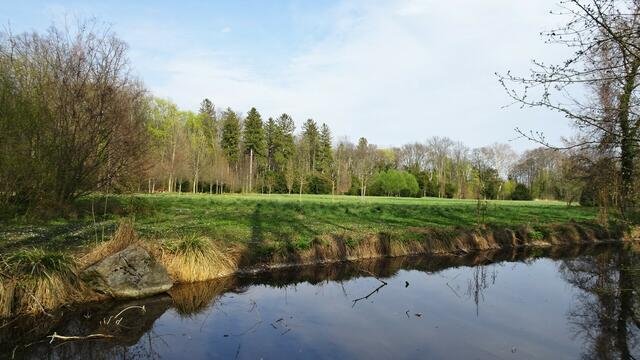 Foto: Silvia Plischek