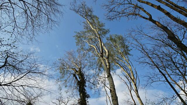 Foto: Silvia Plischek