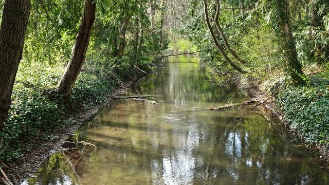 Über eine weitere Brücke überqueren wir wieder einen Flussarm der Fischa und ... | Foto: Silvia Plischek