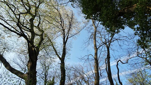 Nun gehen wir über die "Insel" wieder zurück ... | Foto: Silvia Plischek