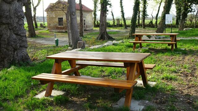 Foto: Silvia Plischek