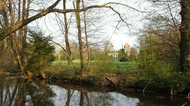 Am Rückweg entlang eines weiteren Flussarms der Fischa. ... | Foto: Silvia Plischek