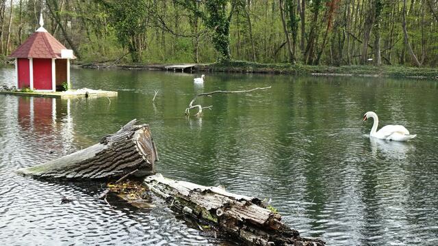 Foto: Silvia Plischek