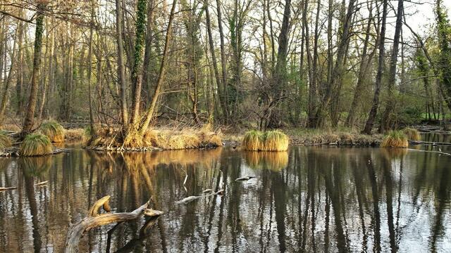 Eine faszinierende Flusslandschaft inmitten des Parks. ... | Foto: Silvia Plischek