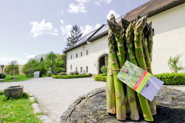 Grand Vert - Grünspargel vom Nussböckgut in Leonding | Foto: Velechovsky