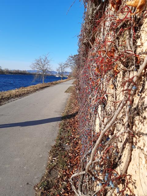 Jederzeit für einen Spaziergang gut.