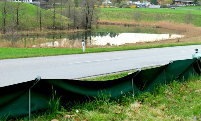 Der Amphibienzaun entlang des Krummsees schützt viele Tiere vor dem sicheren Verkehrstod.  | Foto: Florian Haun
