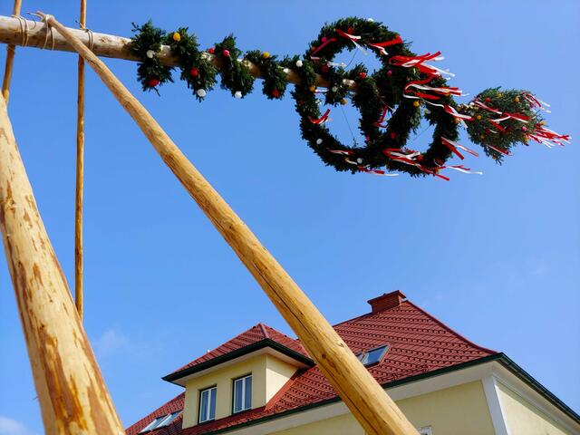 Der Maibaum wird aufgestellt. | Foto: FF Behamberg