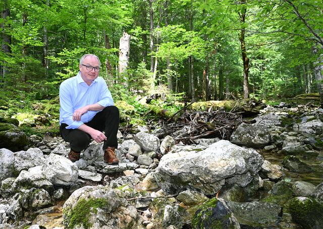 LH-Stellvertreter Stephan Pernkopf im Wildnisgebiet | Foto: NLK