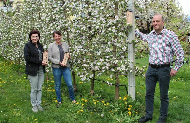Obfrau Regina Norz mit Claudia und Toni Nagiller vom „Hoferbauer“ in Innsbruck/Amras bei der Übergabe der Wildbienenhotels.  | Foto: LK Tirol