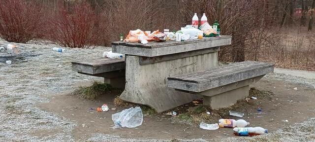 Trotz guter Arbeit seitens der Holding Graz, ist die Menge an Müll in den Auwiesen kaum zu bewältigen. | Foto: Privat