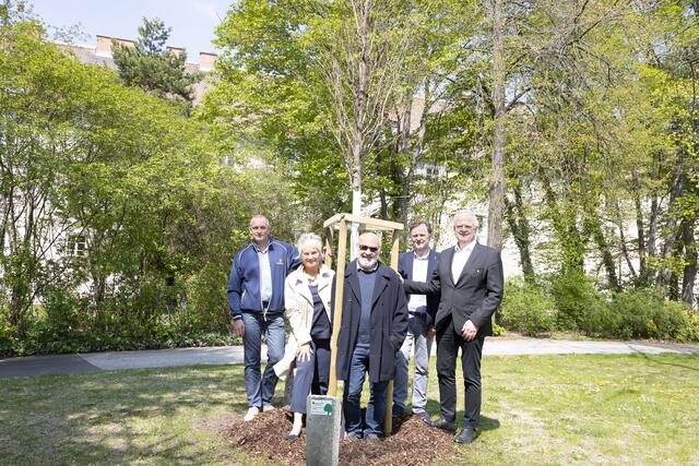 Ulf Elser (Mitte) übernahm die Patenschaft für eine schlankkronige Zelkove im Wertheimpark. Darüber freuen sich Stadtgärtner Eduard Pauer, Initiatorin Siegrun Karner, Stadtrat Werner Stöberl und Bürgermeister Reinhard Resch | Foto: Stadt Krems