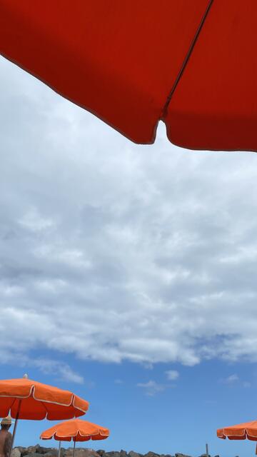 Sonnenschirmtango!

www.leflaneur.at | Foto: herbert Waltl