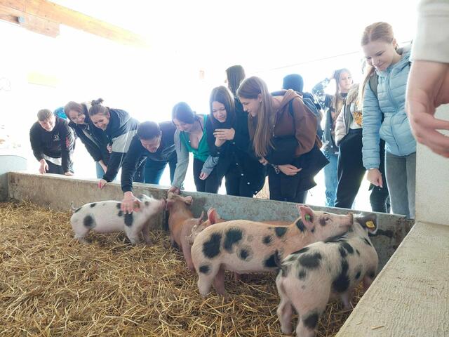 Foto: RegionalMedien
