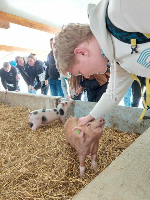 Julian ließ sich in der Ferkel-WG zu Streicheleinheiten ermutigen. | Foto: RegionalMedien