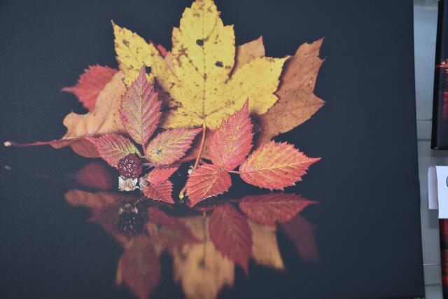 Foto: Robert Zinterhof