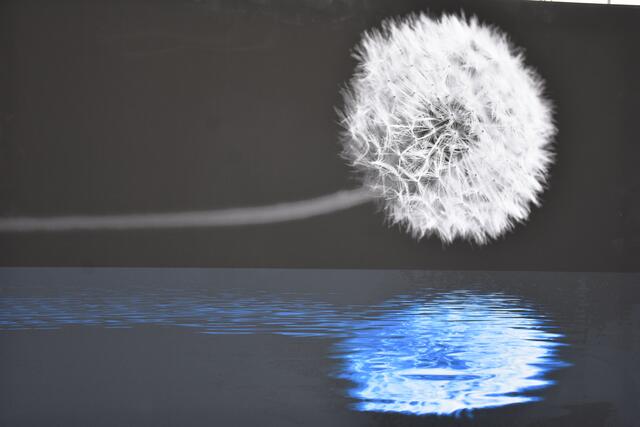 Foto: Robert Zinterhof