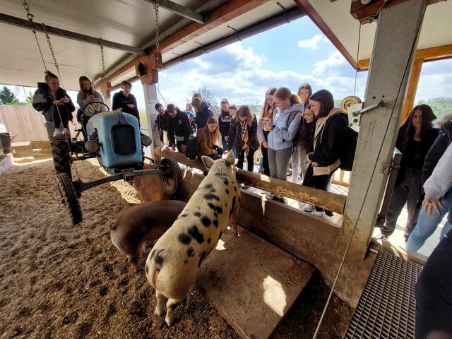 Foto: RegionalMedien