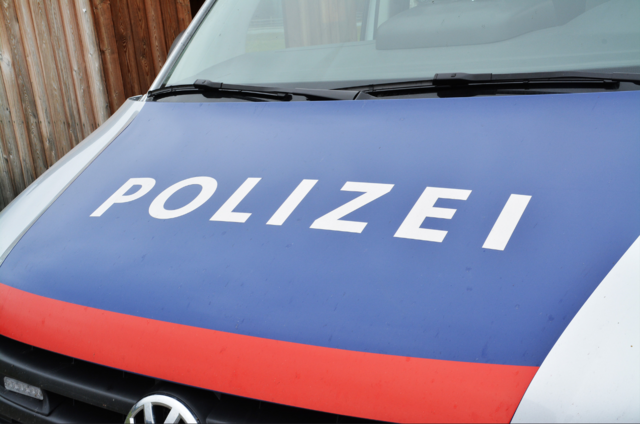 Die Exekutive rückte aus. (Symbolfoto) | Foto: Polizei