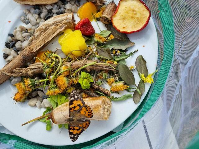 "Von der Raupe zum Schmetterling" lautete das Motto für die Schüler:innen der ersten Klasse.  | Foto: zVg