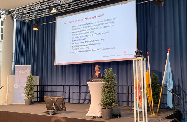 Fachvortrag von Petra Schmidt (Leitung Bereich Gesundheit und Soziale Dienste österr. Rotes Kreuz) | Foto: NLK Burchart