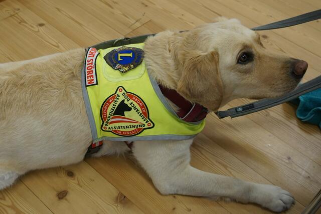 Inara mit dem Lions Club Logo