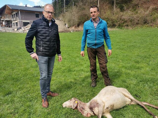 Entsetzt über den Riss in Siedlungsnähe: Martin Mayerl und Ortsbauernobmann Josef Gietl (r.). | Foto: privat