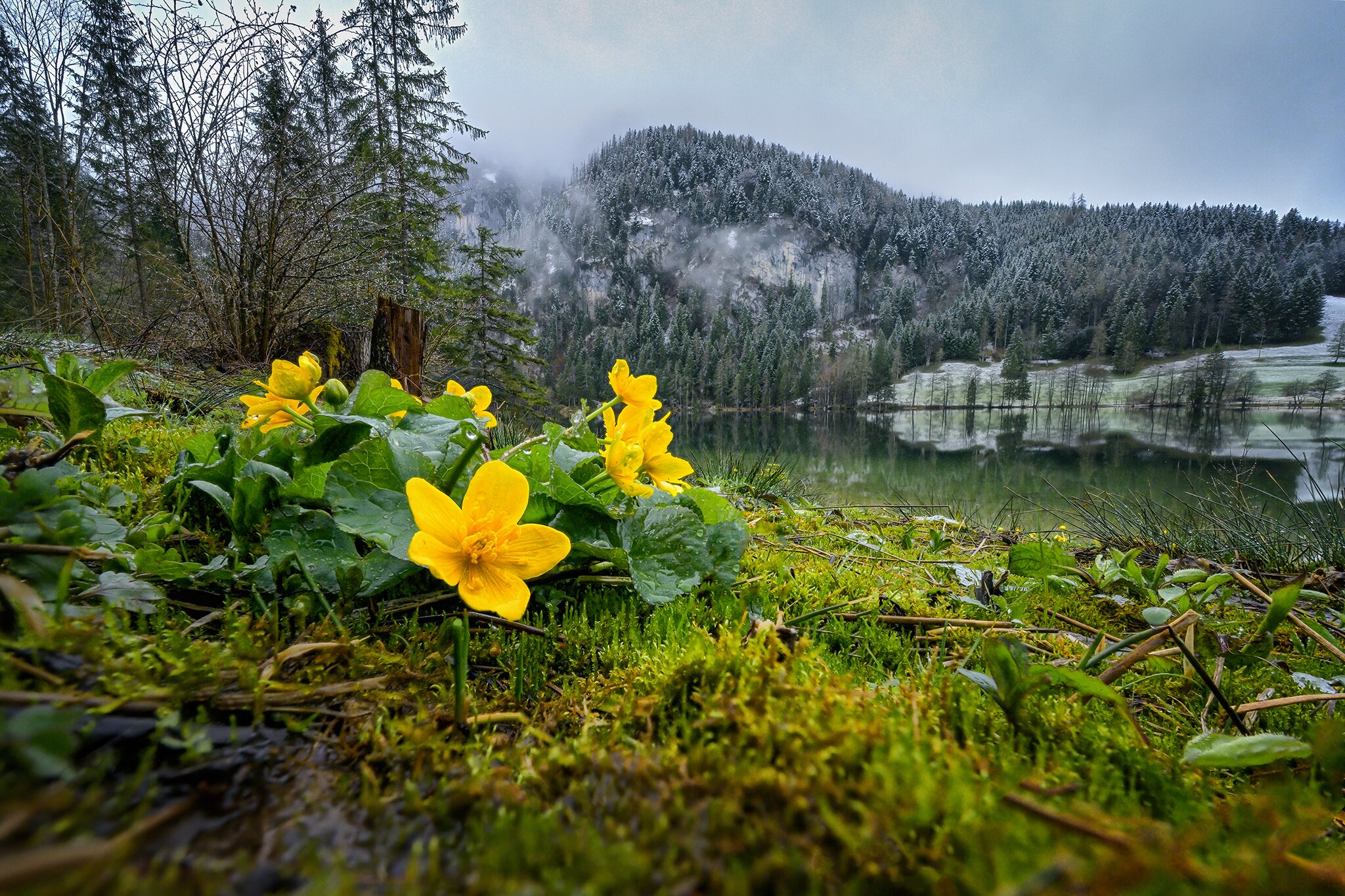 Gleinkersee Regenspaziergang: Gleinkersee - Kirchdorf